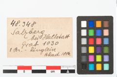 Foto von Bronzering (NHMW-PRAE-048348)
